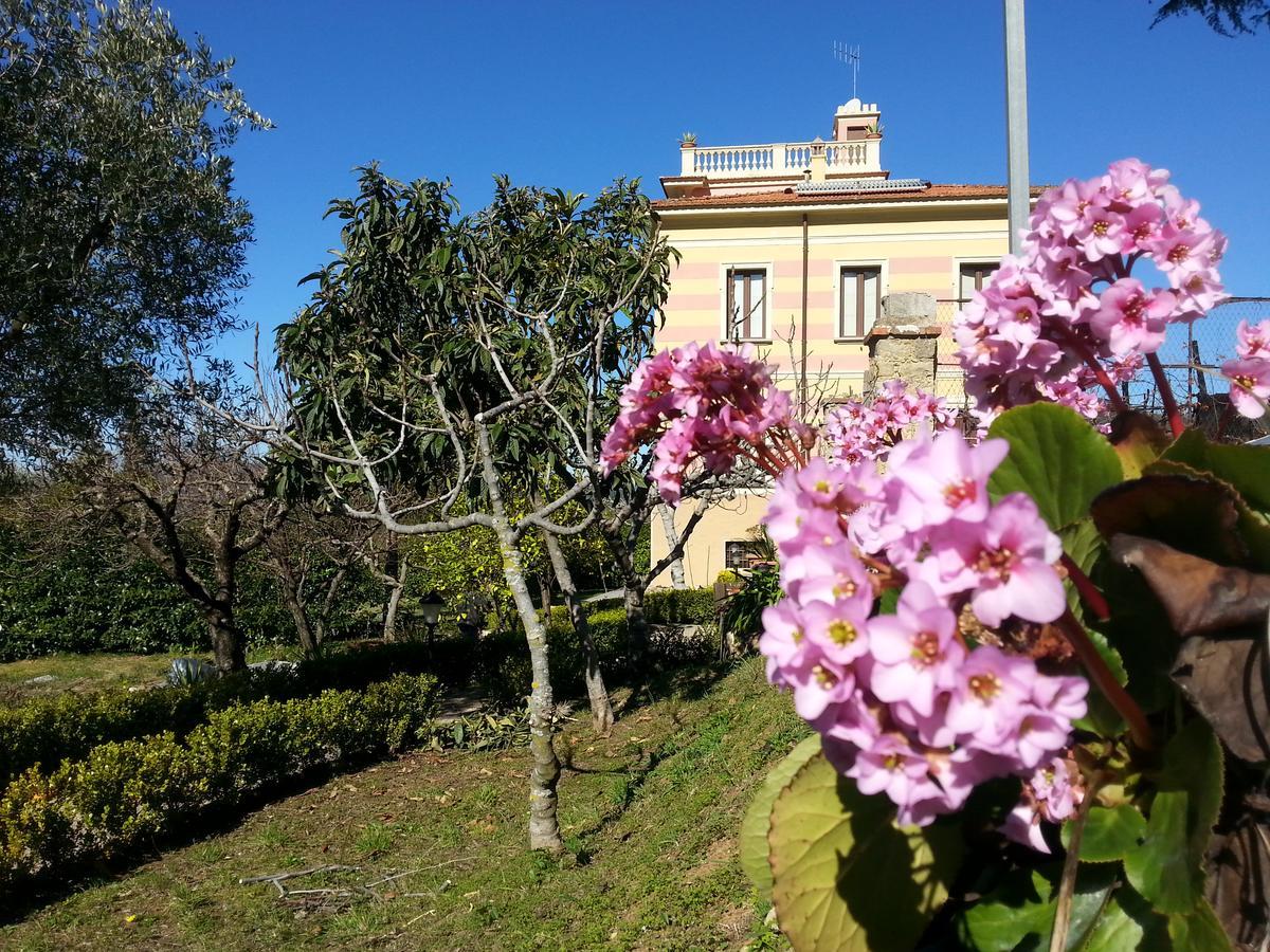 Villa Vincenza Валло-делла-Луканія Екстер'єр фото